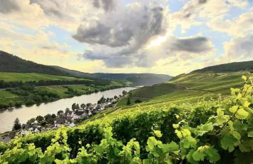 Das AMBIENTE I - Komfortables Wohnerlebnis mit Moselromantik - Herzlich Willkommen - - Foto 22