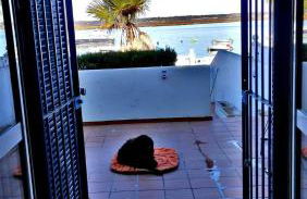 casa del mar,,, gran terraza junto playa cantil - Foto 12