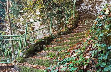 WOODEN HOUSE near the River Kupa - Foto 49