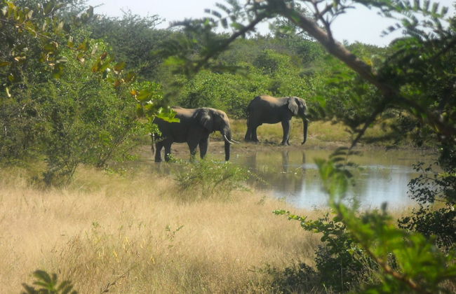 Silonque Bush Estate & Spa - Foto 31