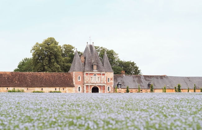 Château de Bonnemare - Foto 32