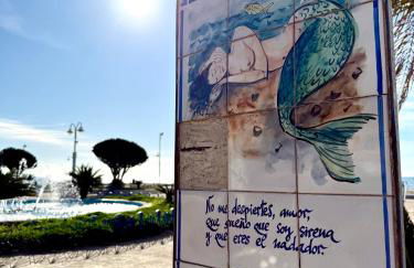 La Mar deConcha - Photo 30