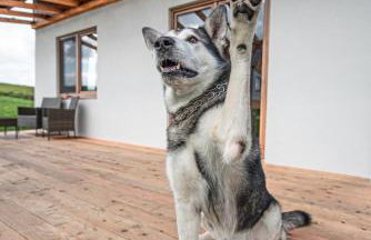 Pastelova Krova - domki w Bieszczadach - Foto 9