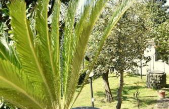 Casa della Genovina - Foto 11
