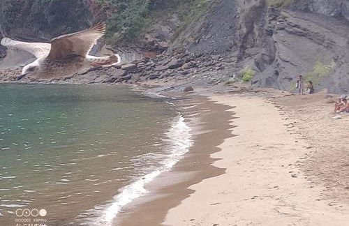 Tazones 79 VUT6993AS - Foto 36