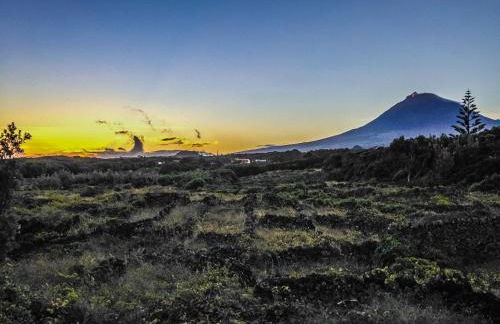 eSense - Formosinha - Photo 18