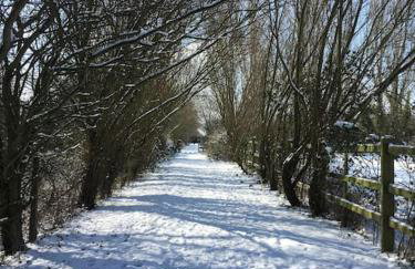 The Old Laundry - Foto 48