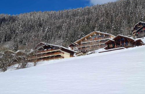 Les Vues de Lily - Châtel - Foto 23