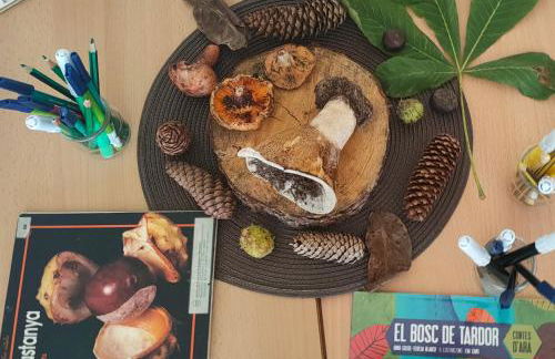 Cal Pastor de Planès - Foto 27