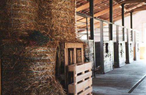 Quinta Lusitânia - Photo 48