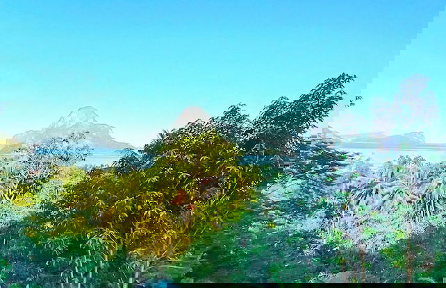 Forest Camp El Nido - Foto 19