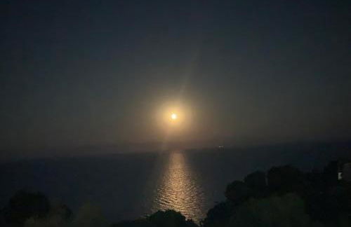 Casa Halcón - Foto 61