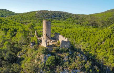 Majordoms - Cal Sabater - Foto 11