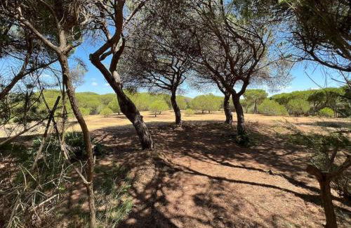 Moradia V3 na Urbanização Praia Verde - Foto 17