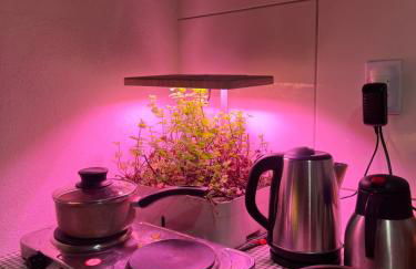 Refúgio Verde à 12 min do Centro de Joinville - Foto 6