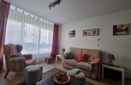 Buen Camino, alojamiento céntrico con terraza - Foto 6