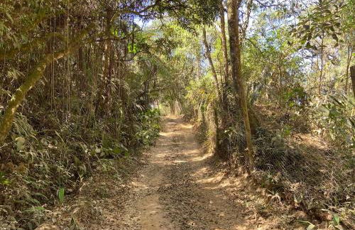 Casa Bambu Floresta Amada - Photo 34