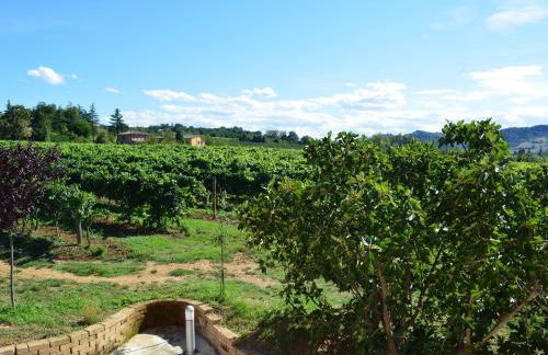 Le Stanze di Bacco - Photo 52