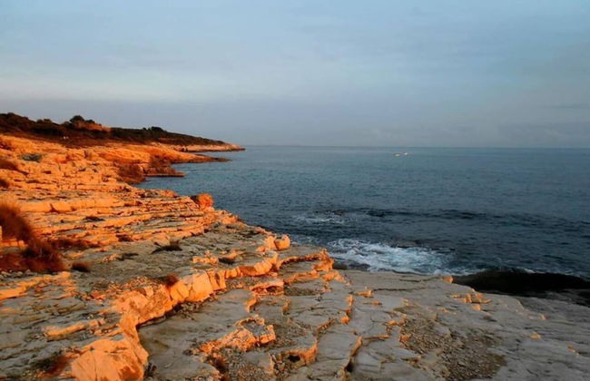 Ideal House for Family - Free Bikes - Pet Friendly - Foto 32