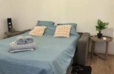 Grand T2 Ajaccio - Proche port et transports - Foto 12