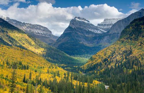 Talbot Pines - Foto 51