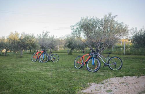 Fairy of Velebit unique countryside house - Photo 63