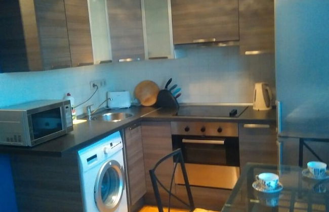 Lakshmi Dinamo Studio View - Foto 7