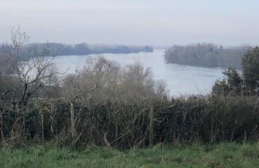 La Bellière - Photo 23