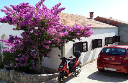 Apartments by the sea Stomorska, Solta - 11298 - Foto 15