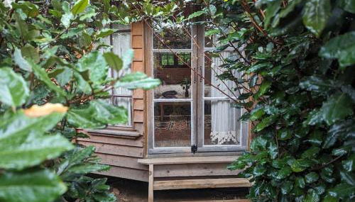 Cabayourte à la mauvaise herbe - Foto 2