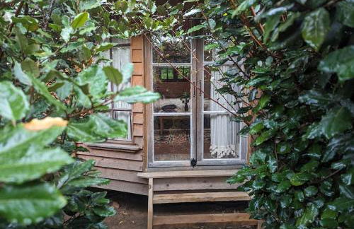 Cabayourte à la mauvaise herbe - Foto 2