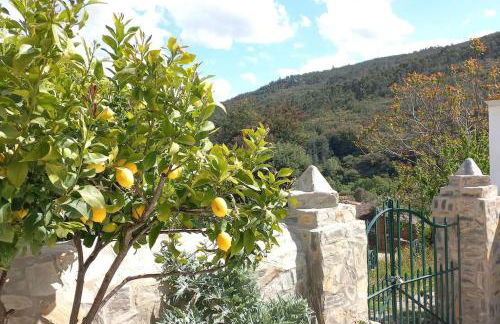 Casa da Volta - Alentejo - S. Julião - Foto 13