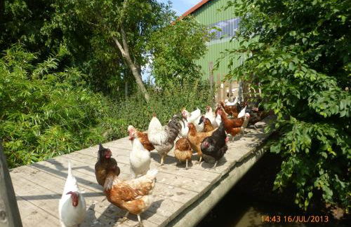 Ferienhof Lorenzen - Foto 14