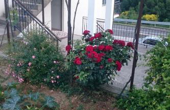 Apartments with a parking space Tugare, Omis - 14320 - Foto 12