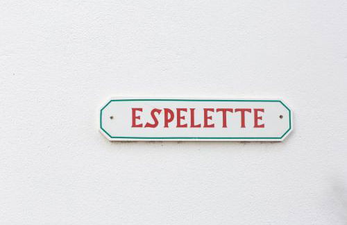 Domaine de Bordaberry - Jardin & superbe piscine - Foto 50