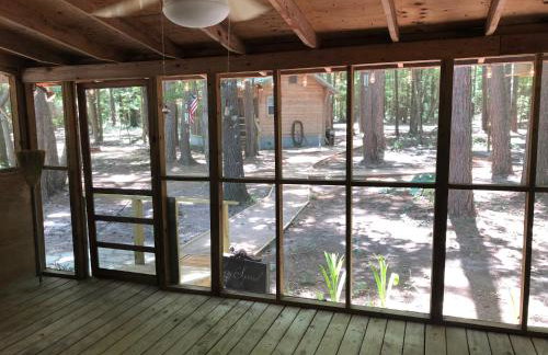 The Lazy Squirrel - Foto 23