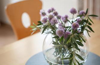 Ferienappartement Freiblick - Foto 14