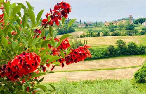 Agriturismo La Pineta - Foto 49