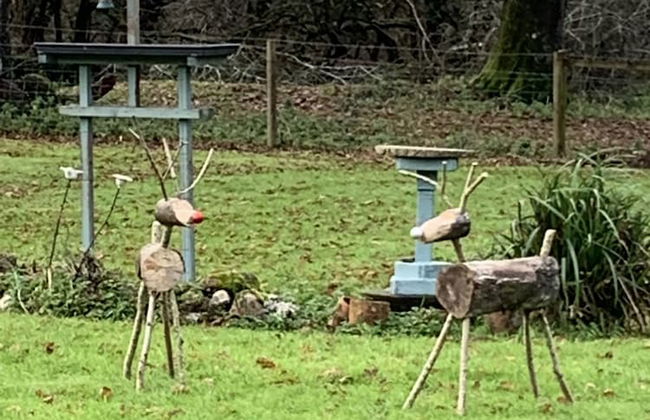Charming 1-bed Cottage in Liskeard Cornwall - Foto 9