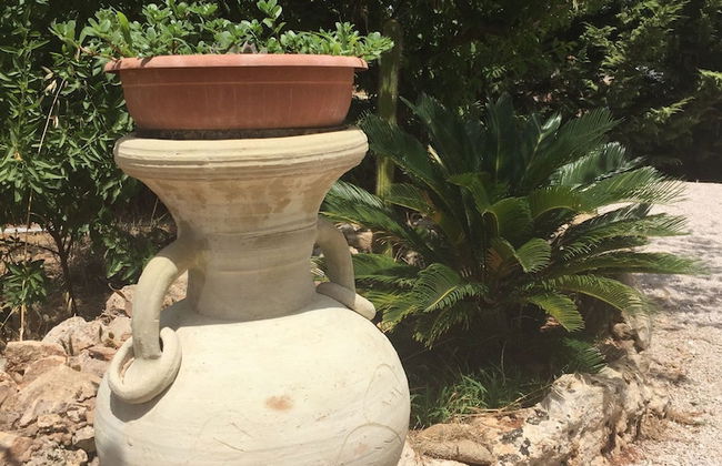 Casale Cappuccini - Foto 35