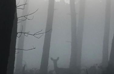 Em Xisto - Casas de Montanha - Casa Xisto Nascente - Foto 14