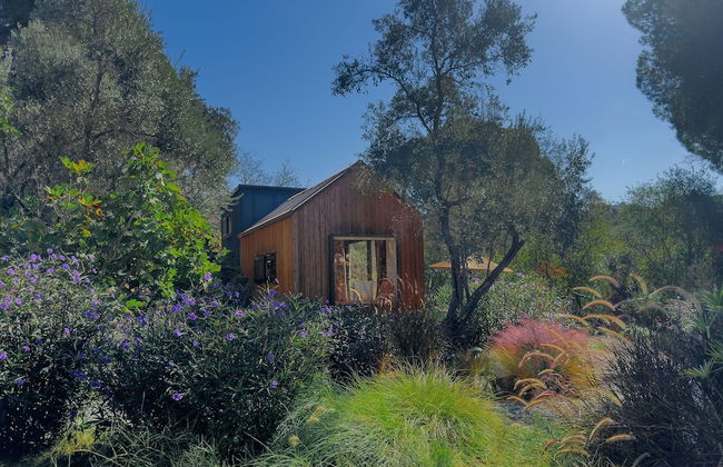 Pura Vida Bodrum - Foto 1