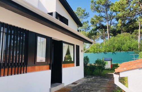 Casa de Santo António Moledo - Foto 5