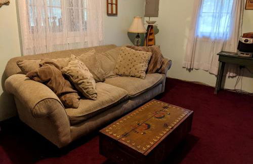 Secluded Rustic Cabin Rental Inside Manistee National Forest in Brethren, Michigan - Foto 7