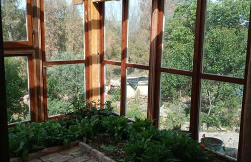 Country Living School - Foto 13