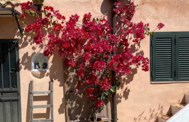 Casita rosa - Photo 10