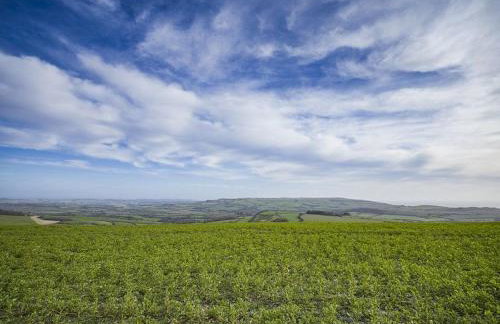 Shiloh Cottage - Foto 28