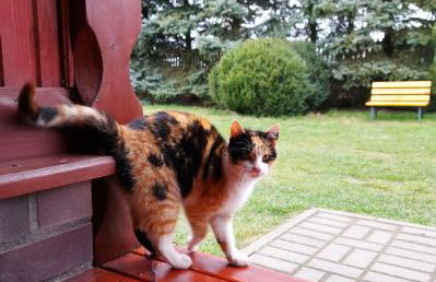 Silence Villa - Foto 34