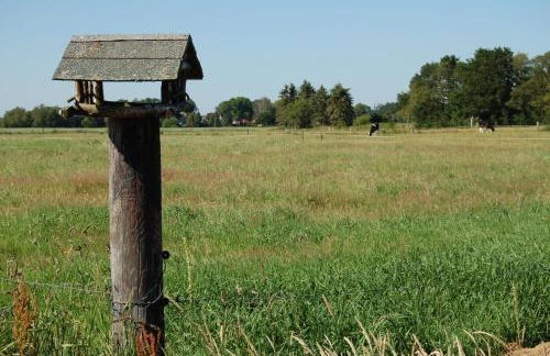 Ferienwohnung Wiekenblick - Foto 15