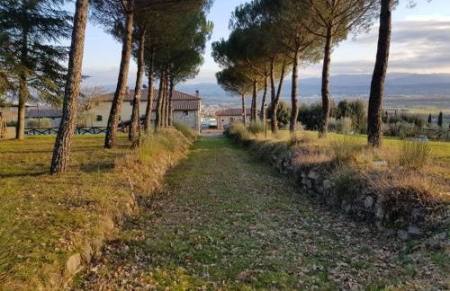 Hotel Relais Palazzo di Luglio - Photo 24